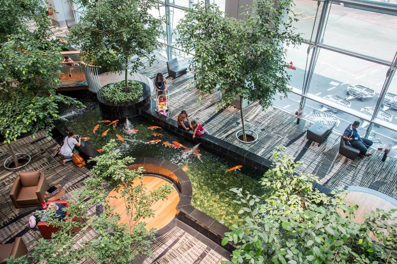 An elevated shot of the Koi Pond at Terminal 3